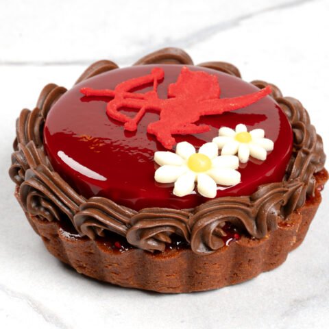 Chocolate Raspberry Mousse Tart